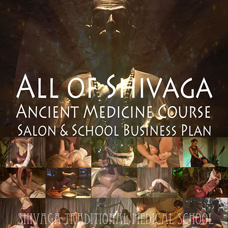 オールオブシヴァカ サロン＆スクールビジネス総合コース