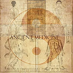 経絡とエネルギーライン セン