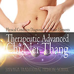 チネイザン アドバンス 東洋医学診断