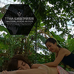 TTMA伝統医学研究員として活動